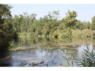 Property photo 70 - 419 +/- Acres offered in 6 Tracts, Land Auction